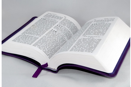 ¿La Mejor Biblia Reina- Valera ?