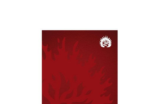 Biblia de Estudio de La Reforma