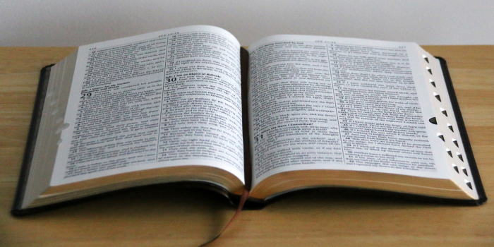 BIBLIA LETRA GRANDE TAMAÑO MANUAL / HAND SIZE