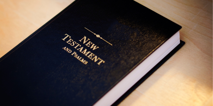 BIBLIAS ECONOMICAS Y ANTIGUO Y NUEVOS TESTAMENTO / ECONOMIC BIBLES AND OLD AND NEW TESTAMENTS