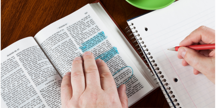 Biblias De Estudio / Study Bibles