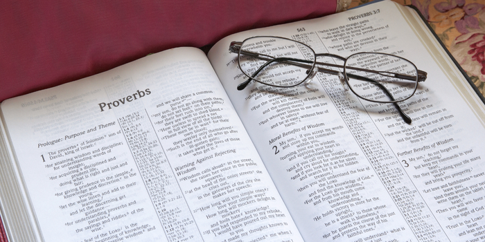 Biblias Especilizadas / Specialized Bibles