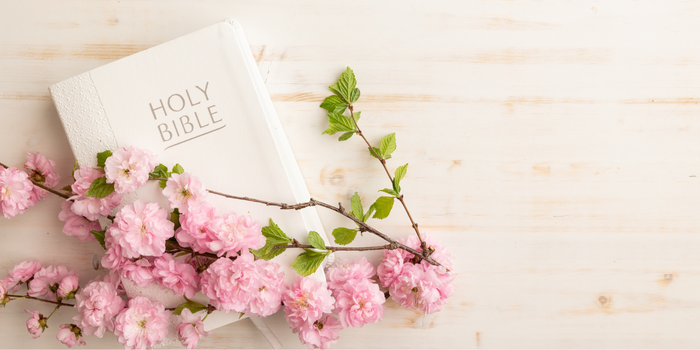 BIBLIAS XV AÑOS / 15th ANNIVERSARY BIBLES