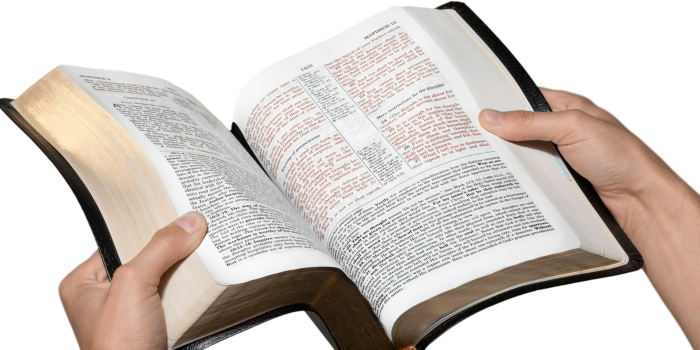 BIBLIA TEMATICAS DE ESTUDIO / BIBLE STUDY TOPICS