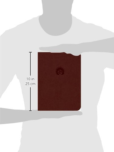 Reformation Study Bible-ESV
