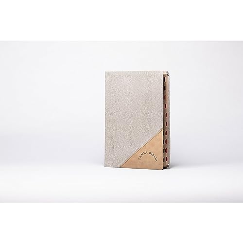 RVR 1960 Biblia letra supergigante edición 2023, gris símil piel con índice / RVR 1960 Super Giant Print 2023 edition Bible Grey LeatherTouch Indexed: Con Referencias. Nueva Tipografía