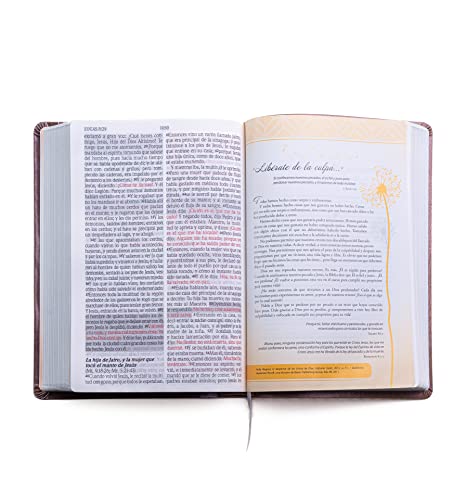 Biblia de promesas Inspira- Oro Rosado - Reina Valera 1960- Letra Grande (Spanish Edition): Edicion Para Mujeres