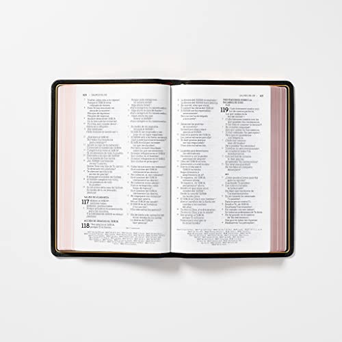 Nbla Biblia Ultrafina, Colección Premier, Negro Cubierta de piel – Texto grande