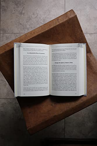 El rol del cristiano en la política y la soberanía de Dios: Lecciones basadas en el libro de Ester (Latin Spanish Edition)
