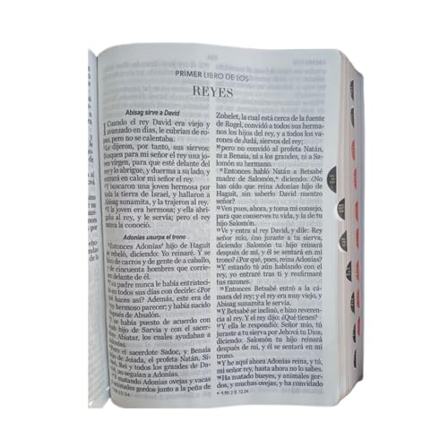 BIBLIA RVR1960 IMITACION PIEL LETRA GIGANTE CABALLERO CON CIERRE NEGRO /TURQUESA CON INDICE