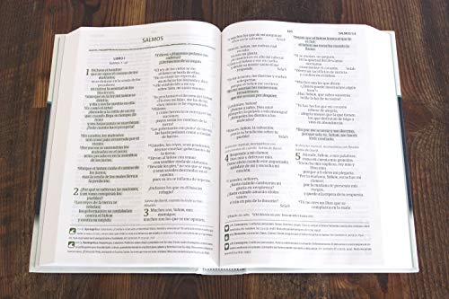 Nueva Versión Internacional Biblia del Pescador, letra grande, verde tapa dura | NVI Fisher of Men Bible, Large Print, Green, Hardcover