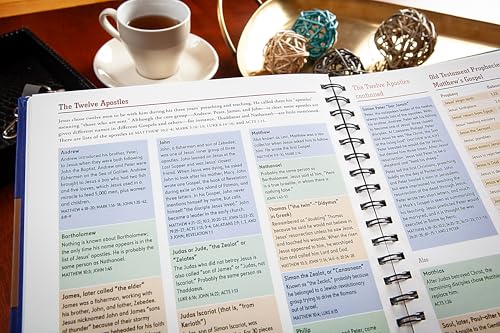 The Everything Bible: The Ultimate Collection of Bible Facts, Timelines, Maps, and Charts