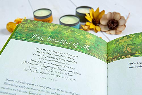Spring: A Season of Hope (90-day Devotional)