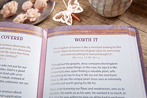 Still Small Voice: 365 Meditations on the Words of Jesus