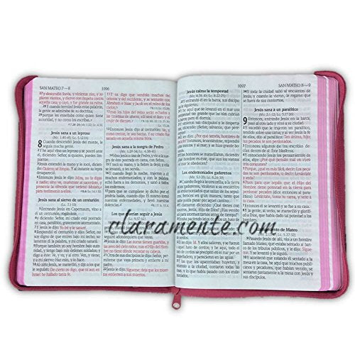 Santa Biblia Letra Gigante Jean con cierre y concordancia, Reina-Valera 1960, RagBook, rosa