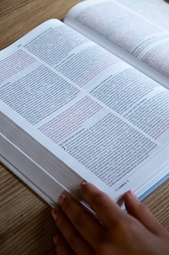 NIV/NVI, Bilingual Bible, Revised Text 2022, Softcover / NIV/NVI, Biblia Bilingüe, Revisión 2022, Tapa rústica