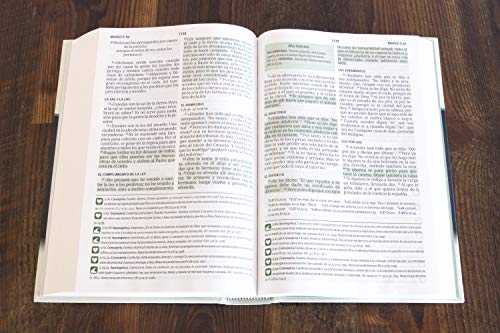 Nueva Versión Internacional Biblia del Pescador, letra grande, verde tapa dura | NVI Fisher of Men Bible, Large Print, Green, Hardcover
