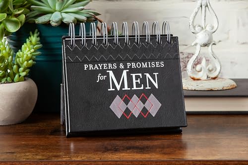 Prayers & Promises for Men: Daily Promises