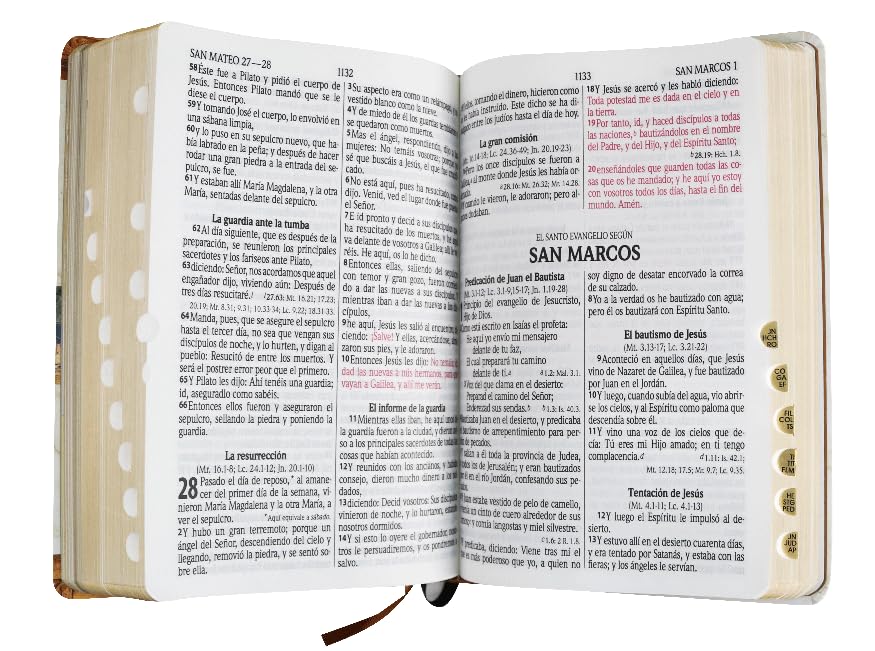 Biblia RVR 1960 Enciclopedia Bíblica - Letra grande, palabras de Jesús en rojo, con concordancia