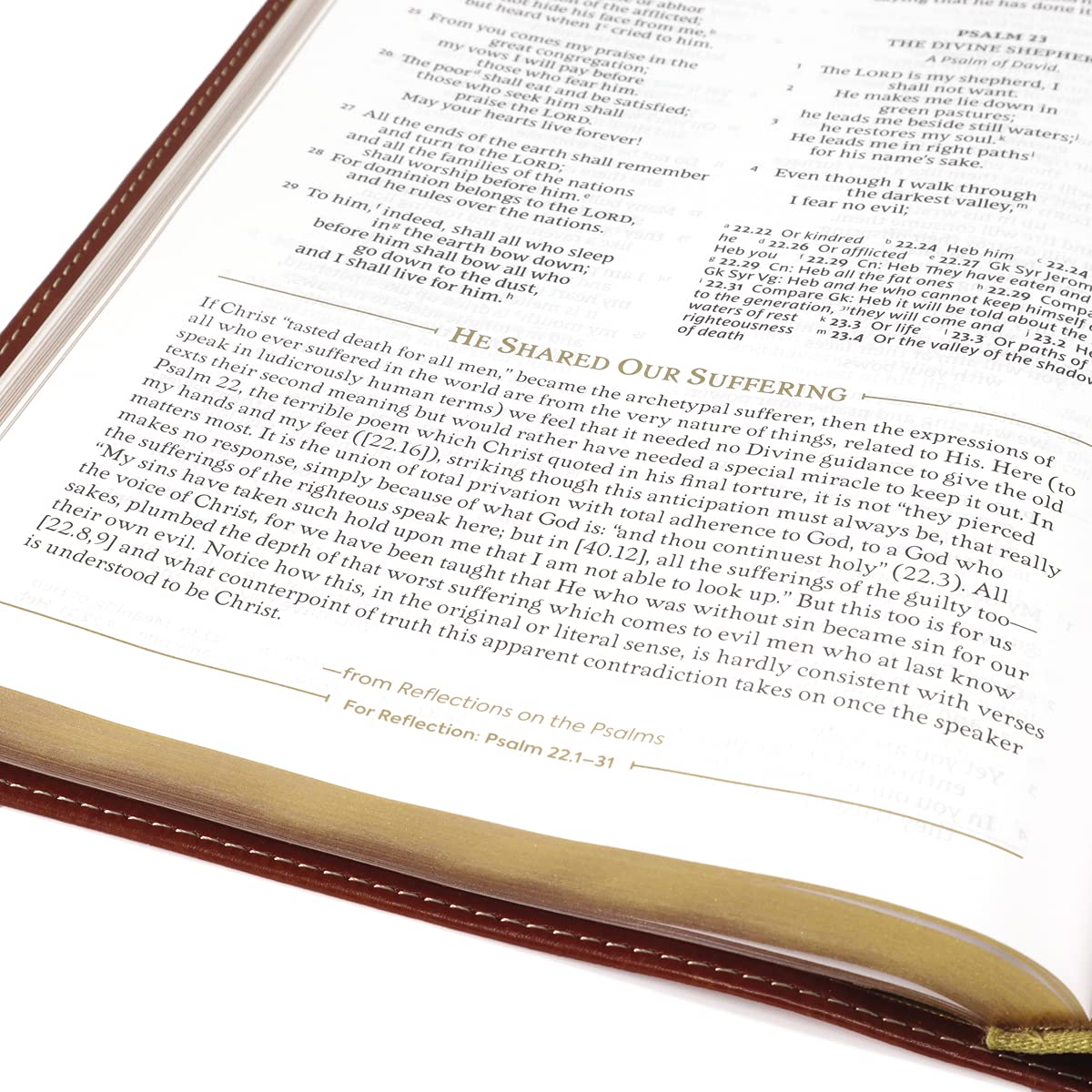 NRSV, The C. S. Lewis Bible, Leathersoft, Brown, Comfort Print: For Reading, Reflection, and Inspiration