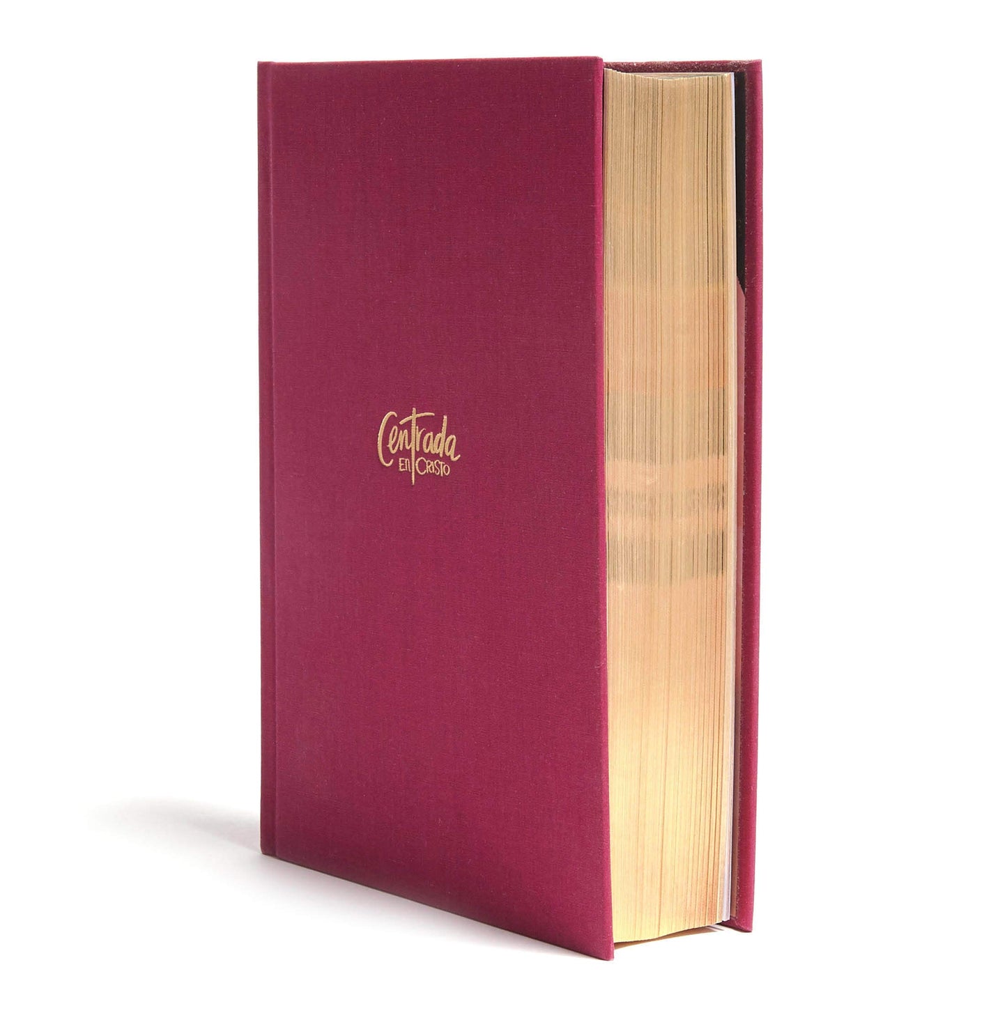 Reina Valera 1960 Biblia Devocional para Mujeres Centrada en Cristo, granada tapa | RVR1960 Centered in Christ Bible, Hardcover