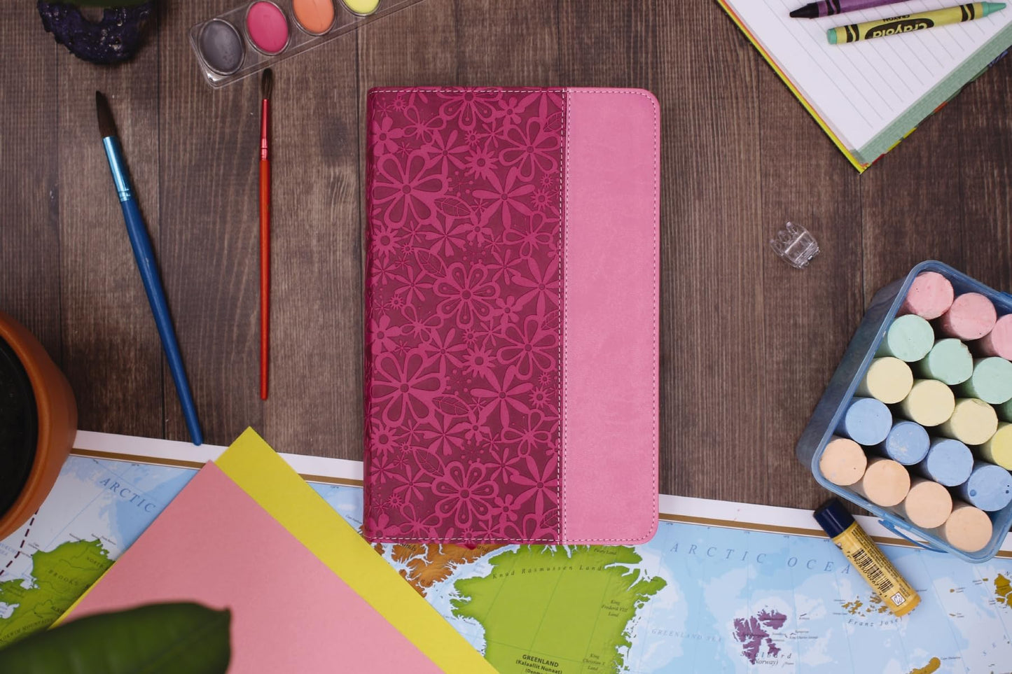 NIV, Adventure Bible, Leathersoft, Pink, Full Color