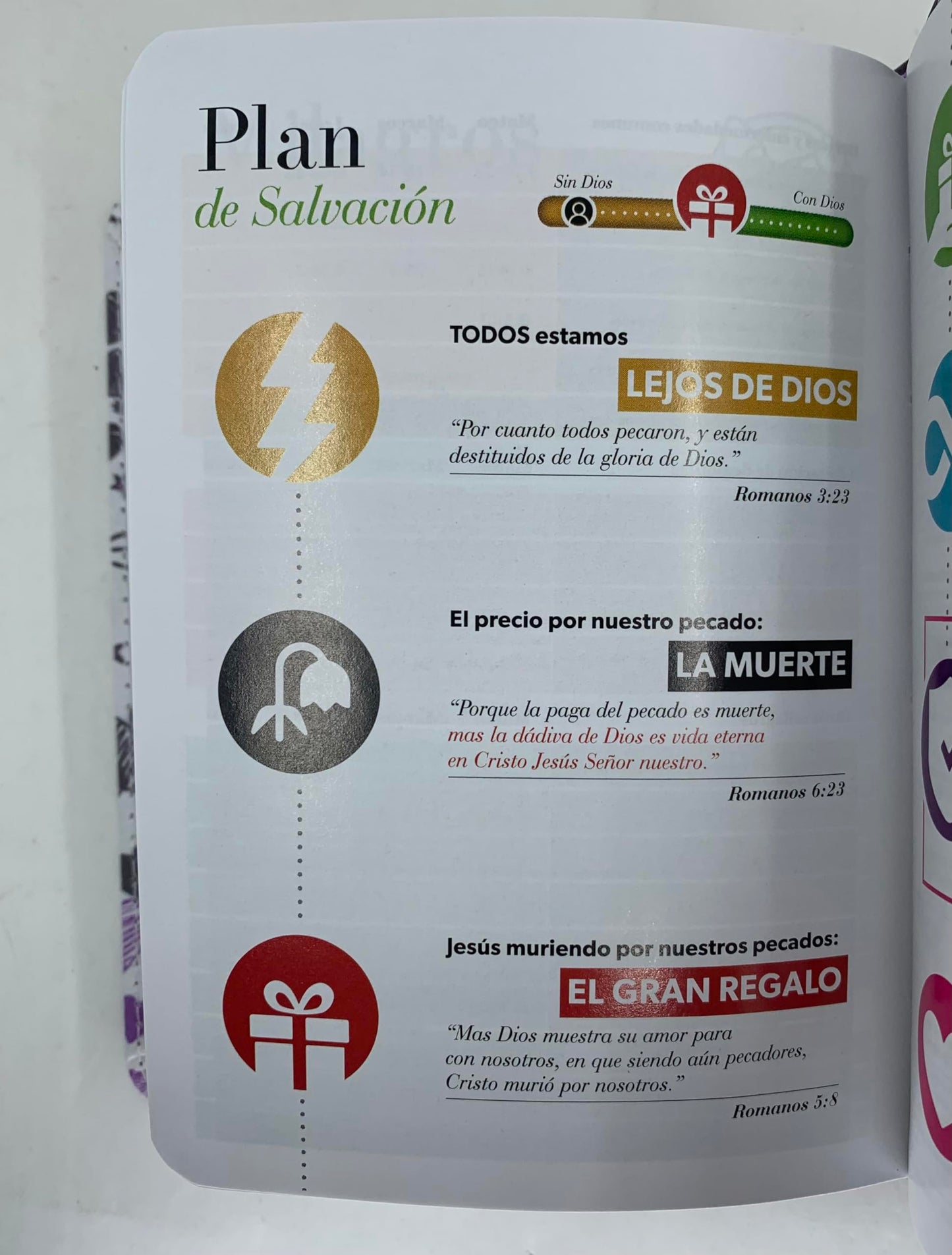 BIBLIA PARA JOVENES TAMAÑO BOLSILLO RV1960 PIEL IMITACION INDICE LILA PALABRAS DEVIDA AMOR 8.5 PUNTOS