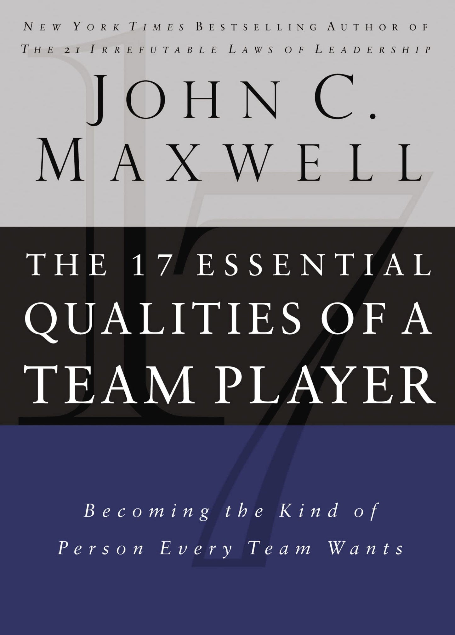 The 17 Essential Qualities of a Team Player: Becoming the Kind of Person Every Team Wants (English Edition)
