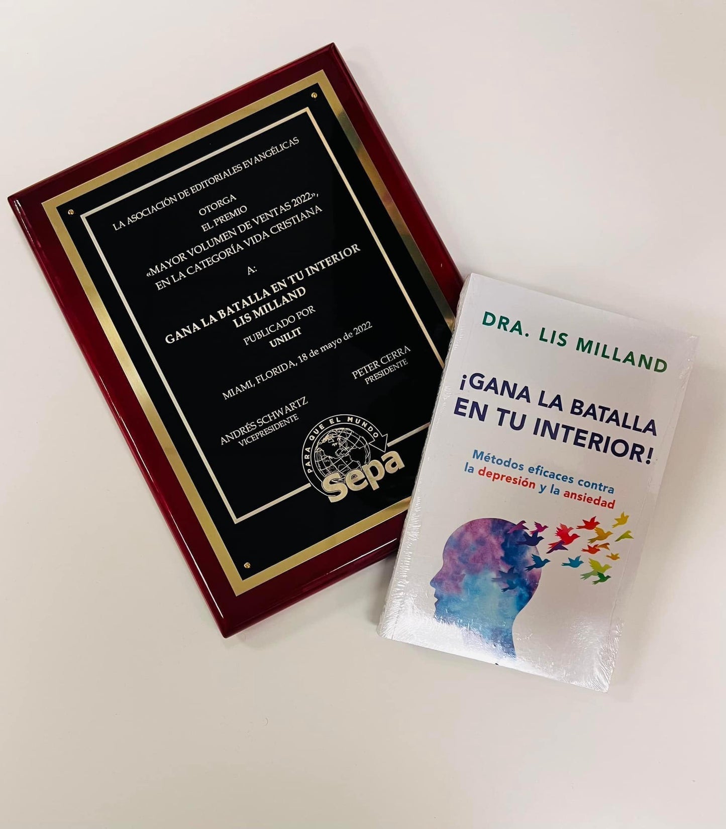 ¡Gana La Batalla En Tu Interior!: Métodos Eficaces Contra La Depresión Y La Ansiedad