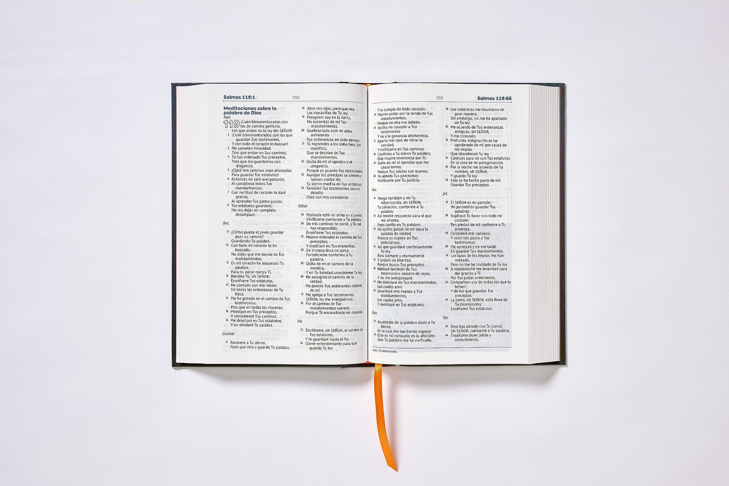 NBLA, Biblia de Estudio para Jóvenes, Tapa dura, Azul, Comfort Print