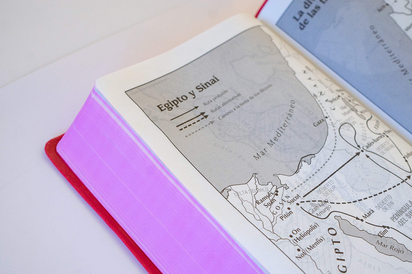 Biblia Letra Grande Palabras De Jesús En Rojo/ Fucsia