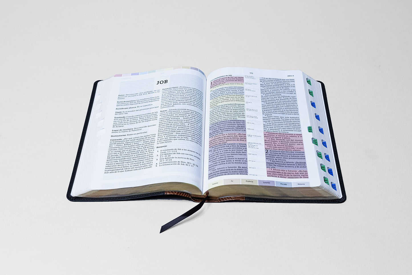 Reina Valera 1960 Biblia de Estudio Arcoiris, tostado/negro símil piel con índice | RVR 1960 Rainbow Study Bible, Tan/black LeatherTouch, Indexed
