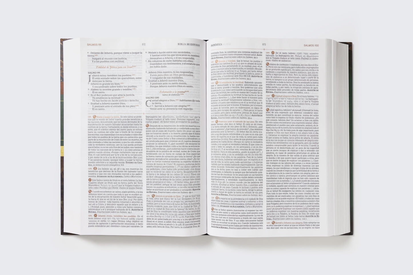 RVR, Biblia de Estudio Patrística, Tapa dura, Interior a dos colores, con Índice, Palabras de Jesús en Rojo, Comfort Print: La Sabiduría del Cristianismo Antiguo, siglos I al VI
