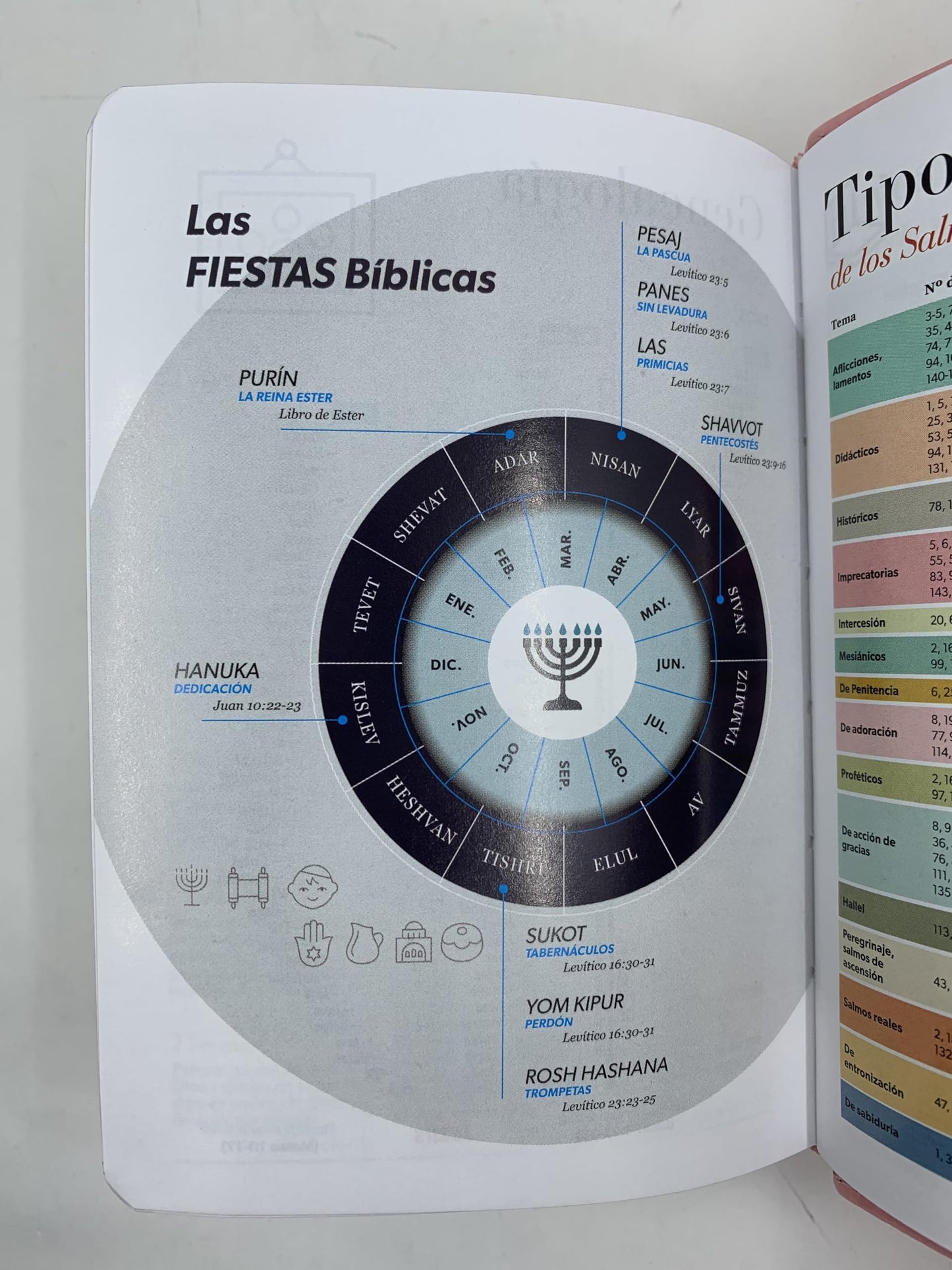 BIBLIA PARA JOVENES TAMAÑO BOLSILLO RV1960 PIEL IMITACION INDICE LILA PALABRAS DEVIDA AMOR 8.5 PUNTOS