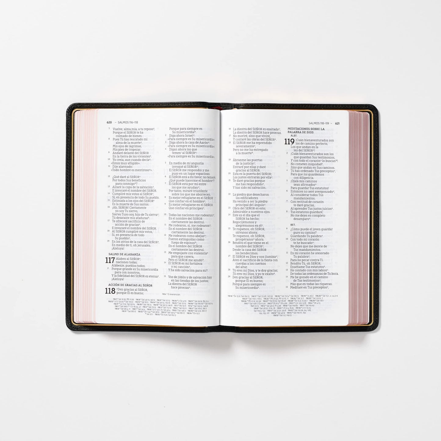 Nbla Biblia Ultrafina, Colección Premier, Negro Cubierta de piel – Texto grande