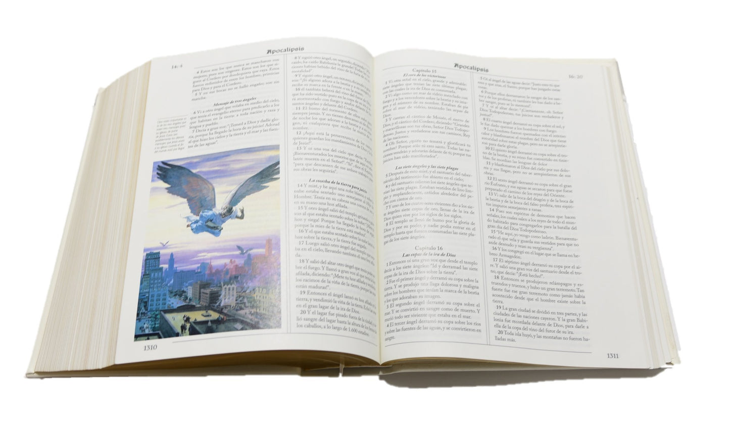 Biblia Reina Valera De Lujo (edición española)