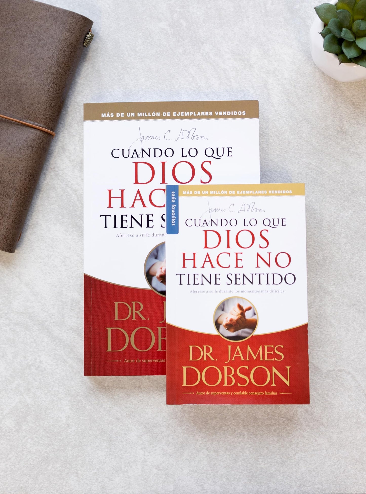 CUANDO LO QUE DIOS HACE NO TIENE (FAVORITOS)