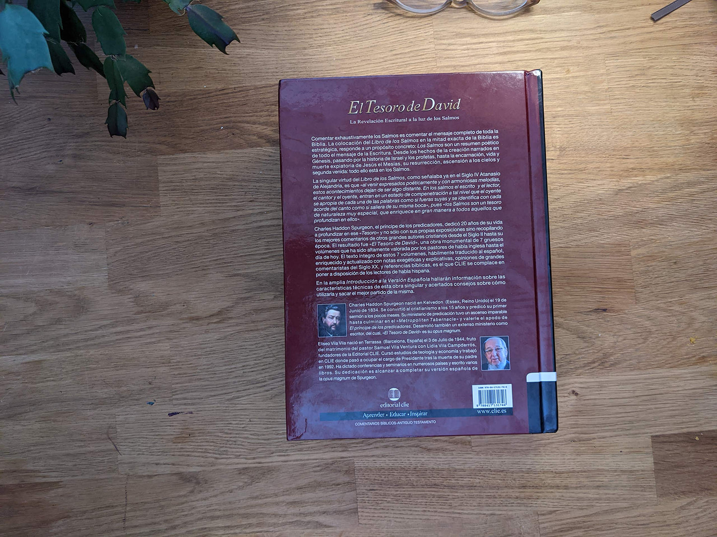 El Tesoro de David II: La revelación escritural a la luz de los Salmos: 2