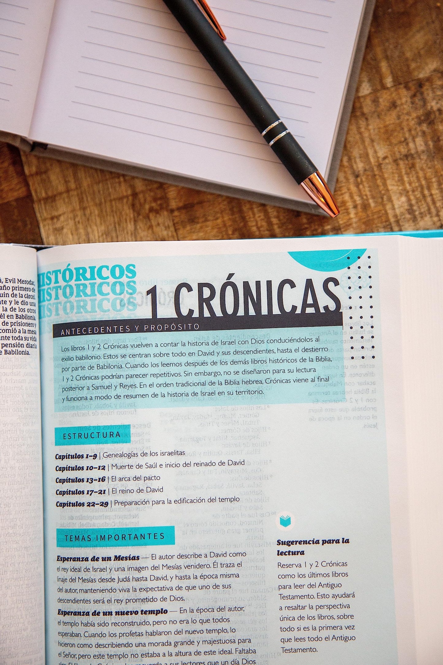 NVI, La Biblia Telos para Jóvenes, Revisión 2022, Tapa dura, Interior a dos colores, Comfort Print: Una guía para el estudiante a través de las Escrituras
