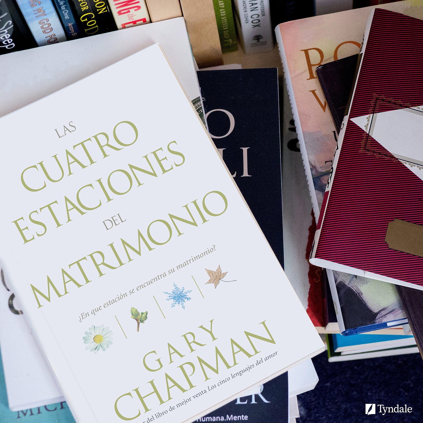 Las Cuatro Estaciones del Matrimonio: ¿En Qué Estación Se Encuentra Su Matrimonio?