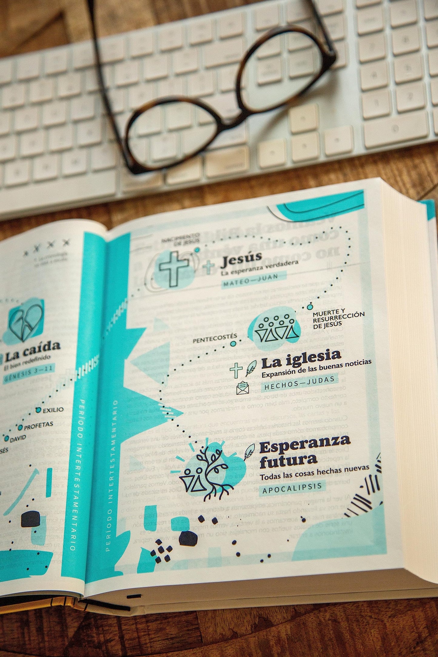NVI, La Biblia Telos para Jóvenes, Revisión 2022, Tapa dura, Interior a dos colores, Comfort Print: Una guía para el estudiante a través de las Escrituras
