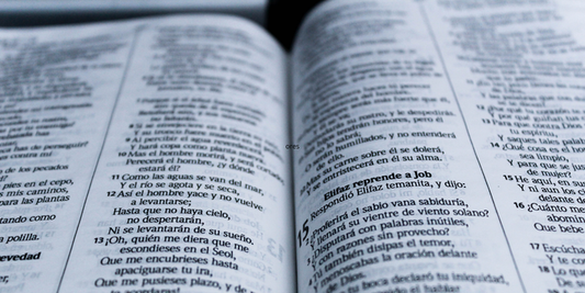 Las 5 Mejores Biblias de Estudio. la 5ta. es Épica.