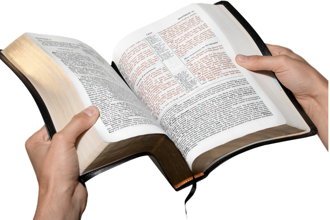 Biblia Letra Grande, Tamaño Manual, Con Referencias