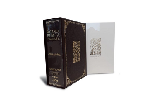 Biblia del oso |/// año 1569