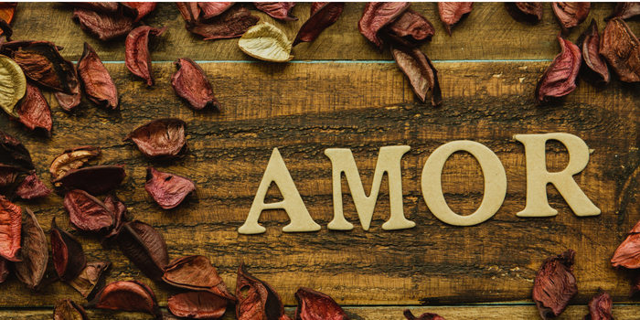 Amor / Love