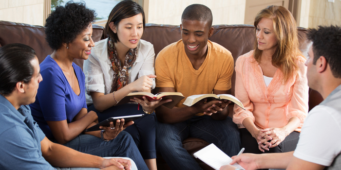 Estudios Biblicos / Bible Studies