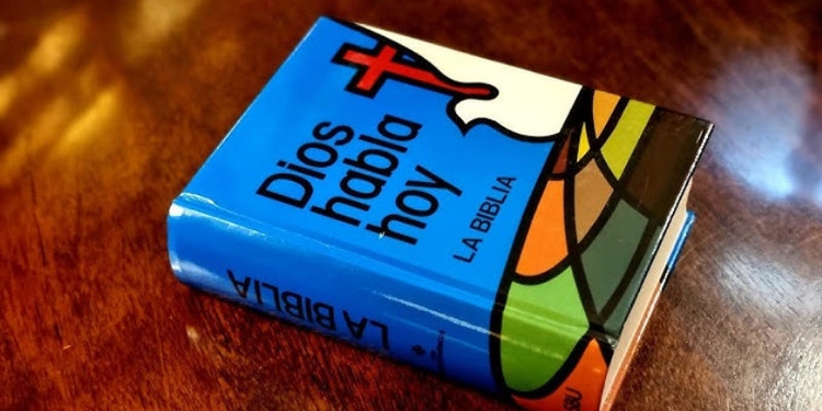 Biblias Dios Habla Hoy / Bibles God Speaks Today