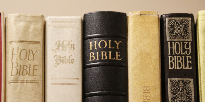 Biblias Por Versión Bíblica / Bible By Translation