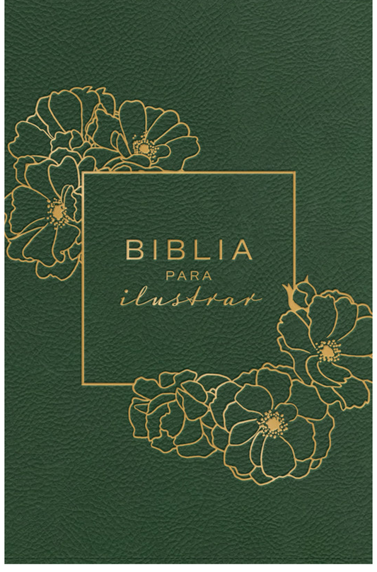 Reina Valera 1960 Biblia para ilustrar, verde símil piel