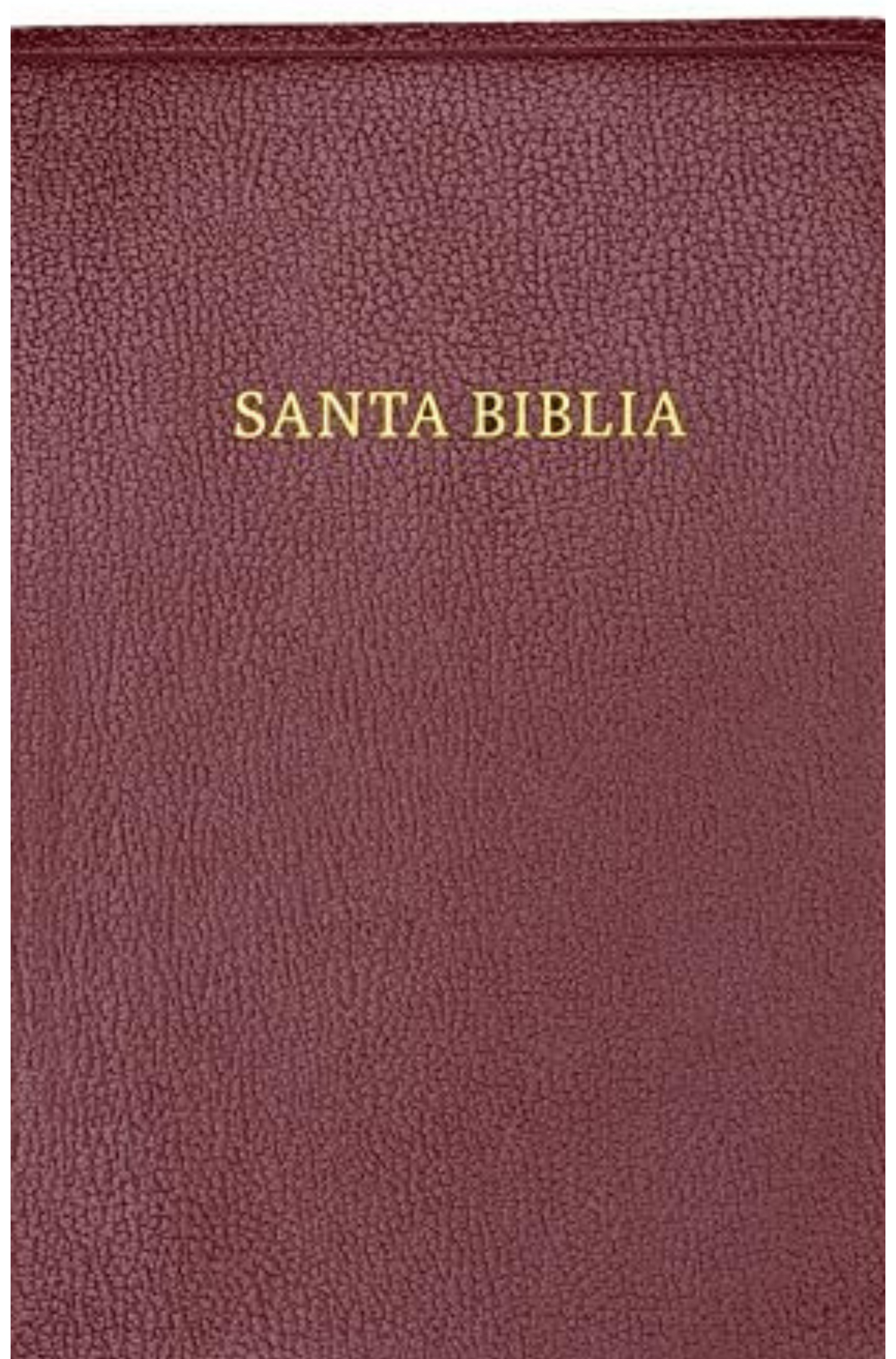 RVR 1960 Biblia letra gigante, borgoña imitación piel con índice (Edición 2023): Santa Biblia